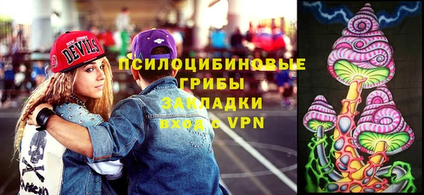 дживик Алексин