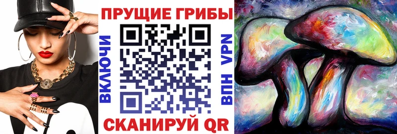 Галлюциногенные грибы Cubensis  цены наркотик  Лахденпохья 